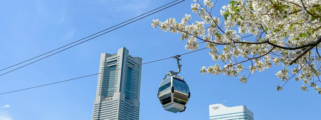 桜と観覧車のあるロープウェイの都市風景