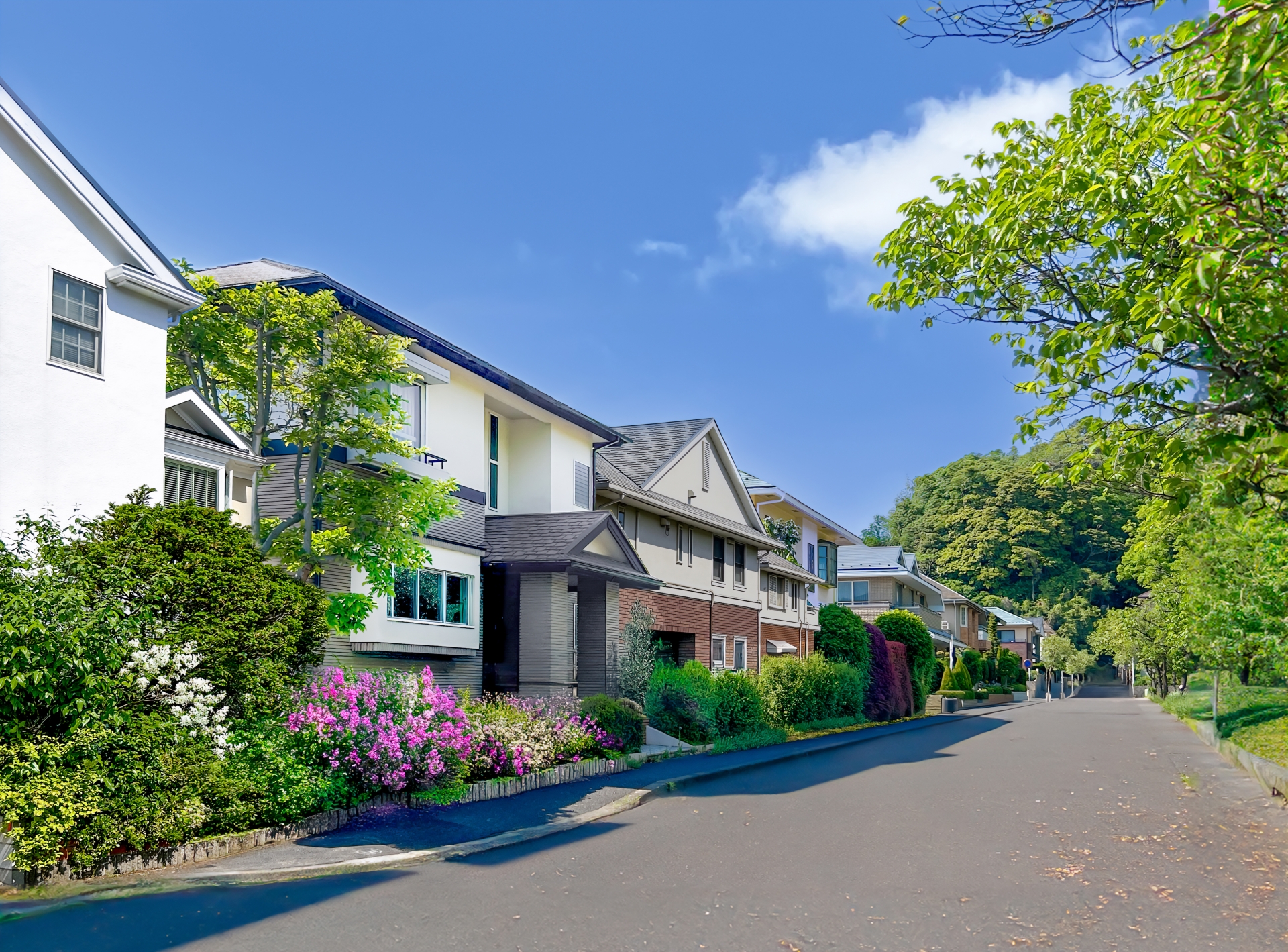 きれいな住宅街